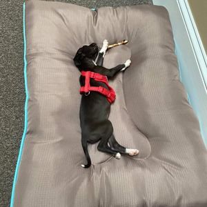 Meet your Posher, Matthew